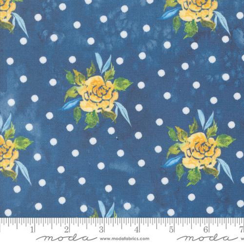 Sunshine and Blue Skies Rosey Dots Canvas - Lake