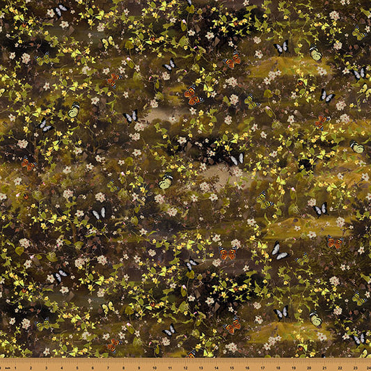 Among the Ferns - Butterfly Fauna