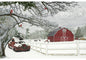 Call of the Wild Red Truck & Barn Panel 29" x 44"