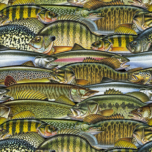 Keep It Reel - Fish Collage