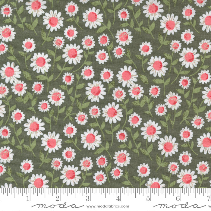 Moda - Love Note Olive Sweet Daisies