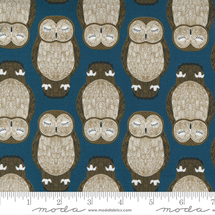 Moda - Nocturnal Lake - Owls