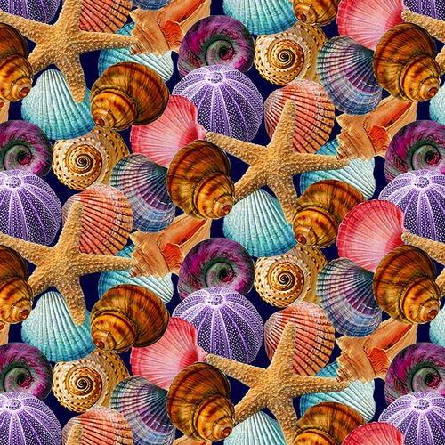 Reef Life - Seashell