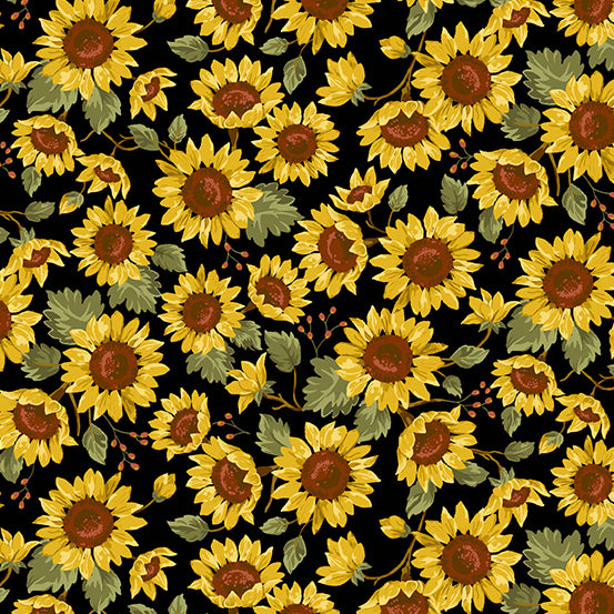 Andover - Sunflower Field